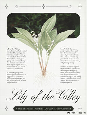 lily of the valley